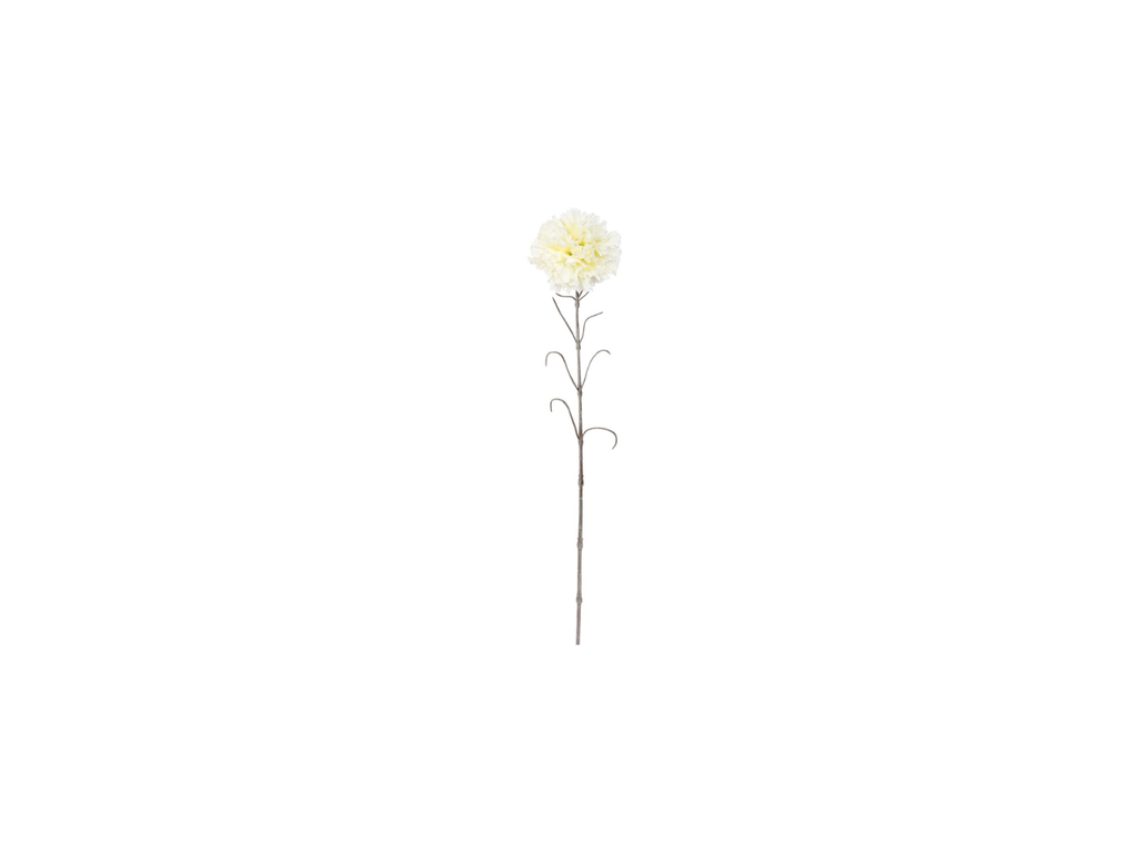 Single Carnation | 66cm