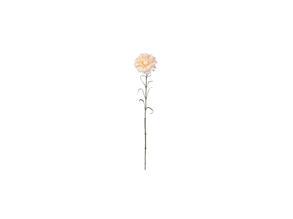 Single Carnation | 66cm