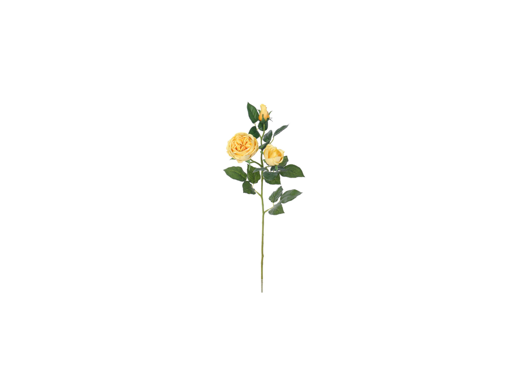English Rose Spray | 64cm