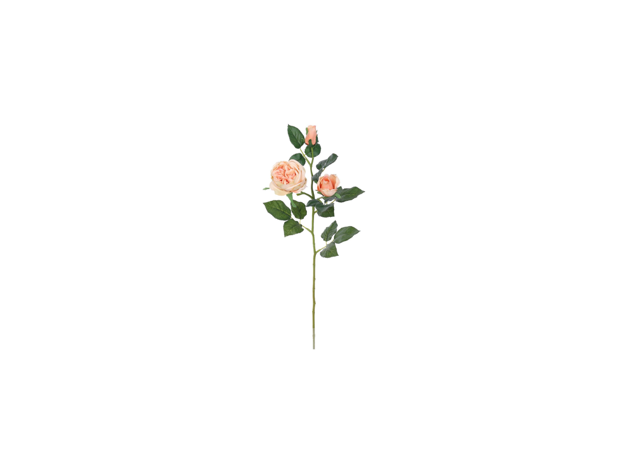 English Rose Spray | 64cm