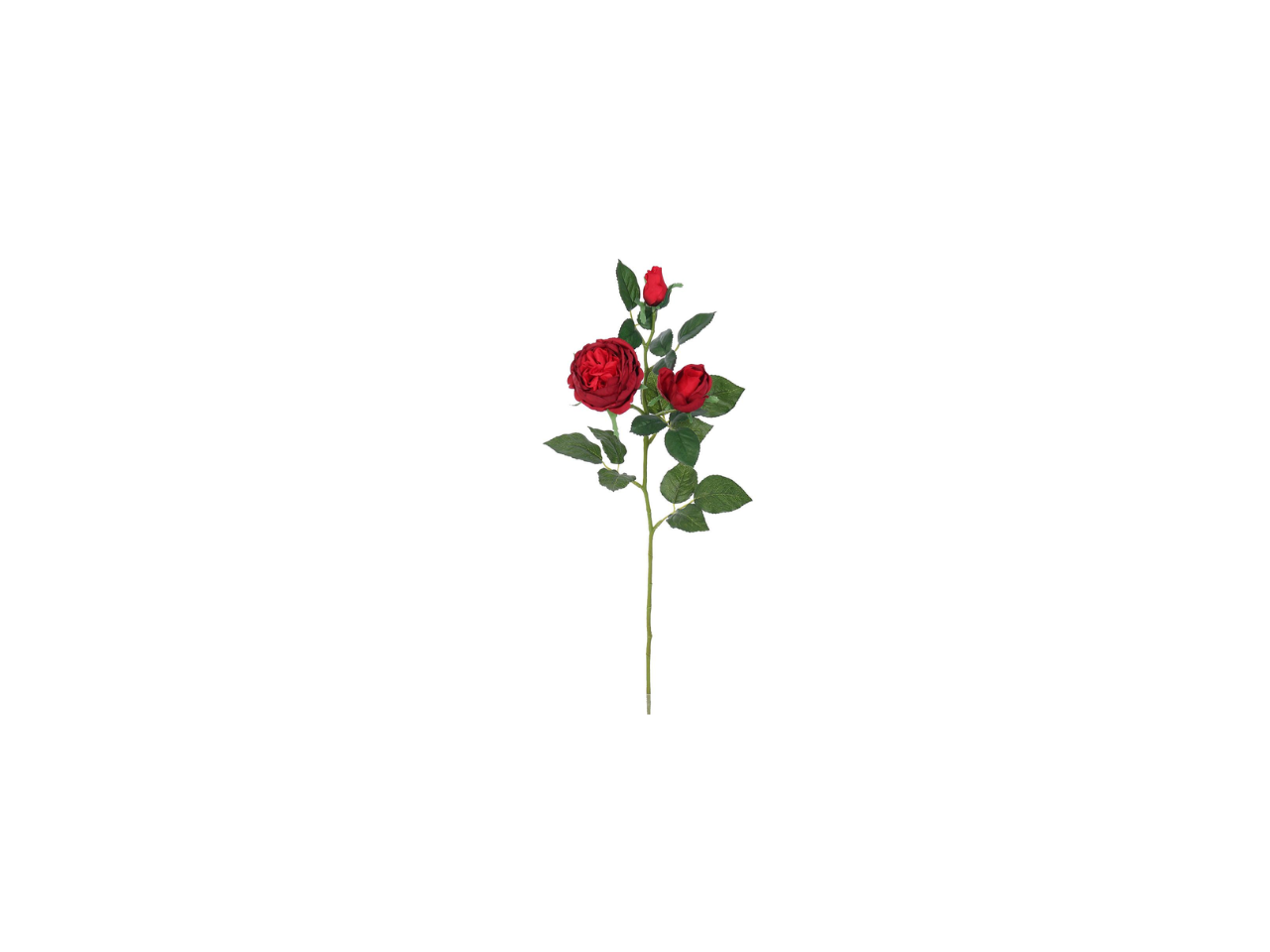 English Rose Spray | 64cm