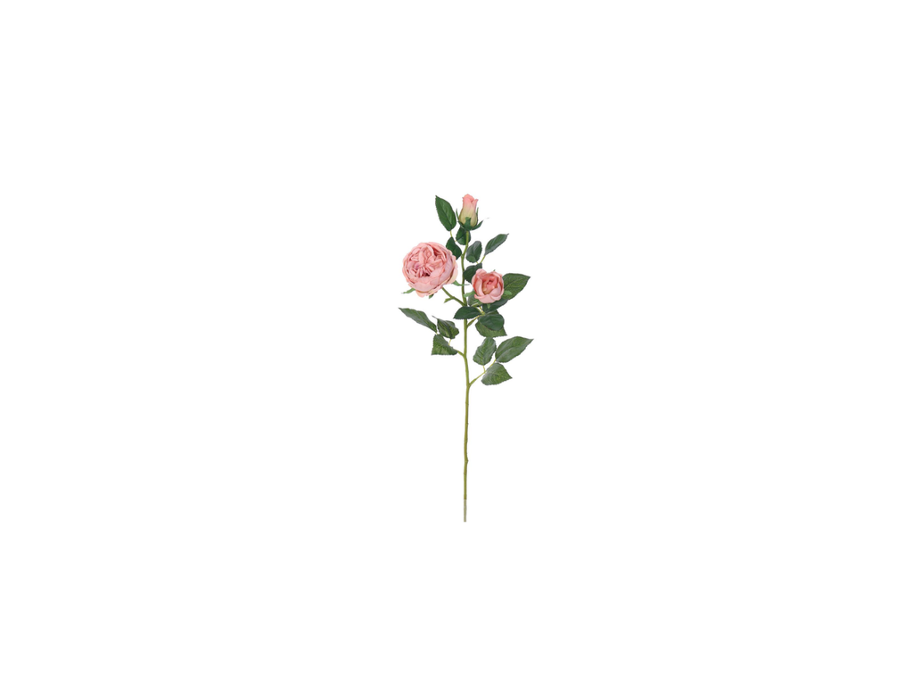 English Rose Spray | 64cm