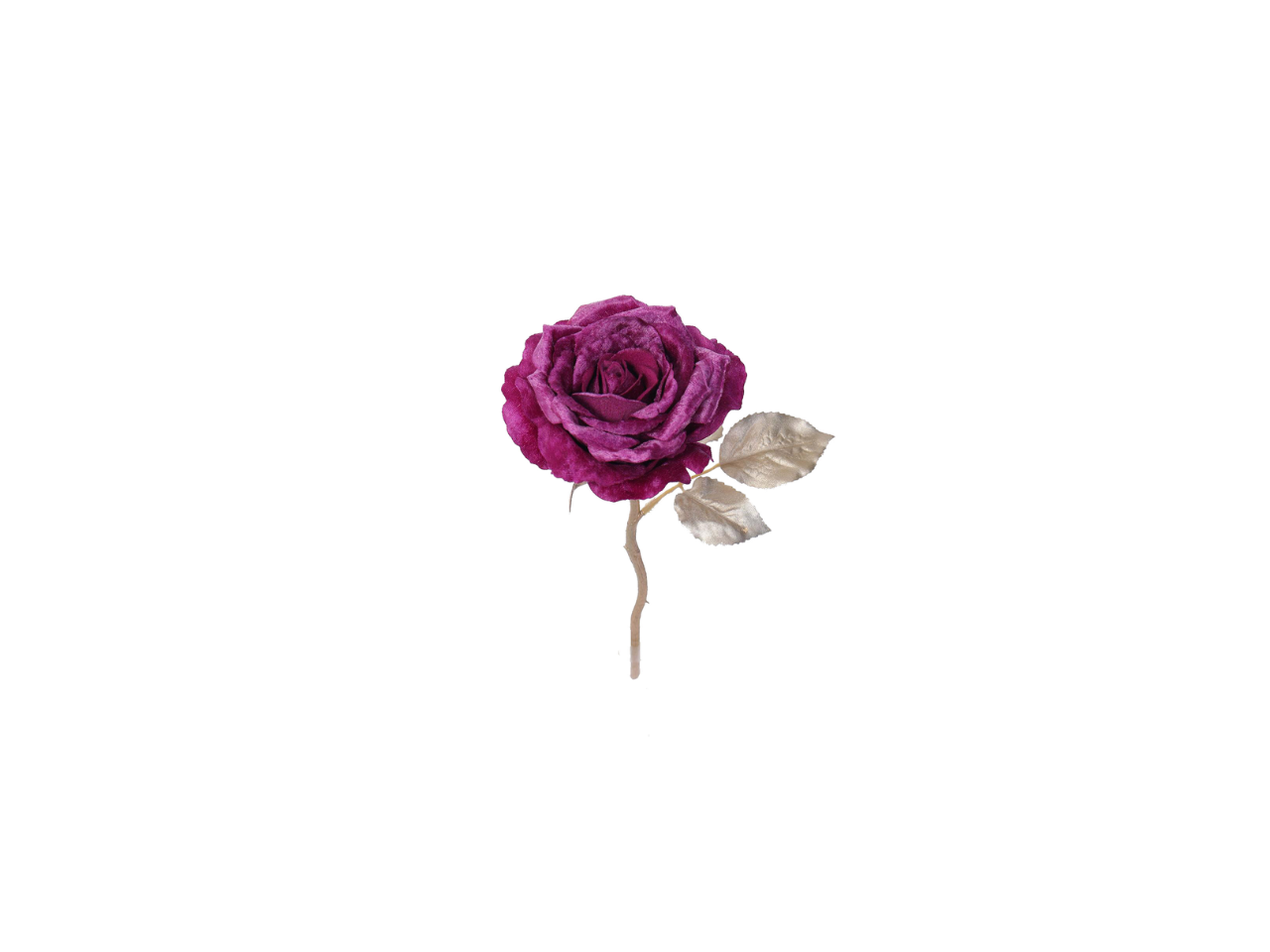Short Stem Rose | 32cm
