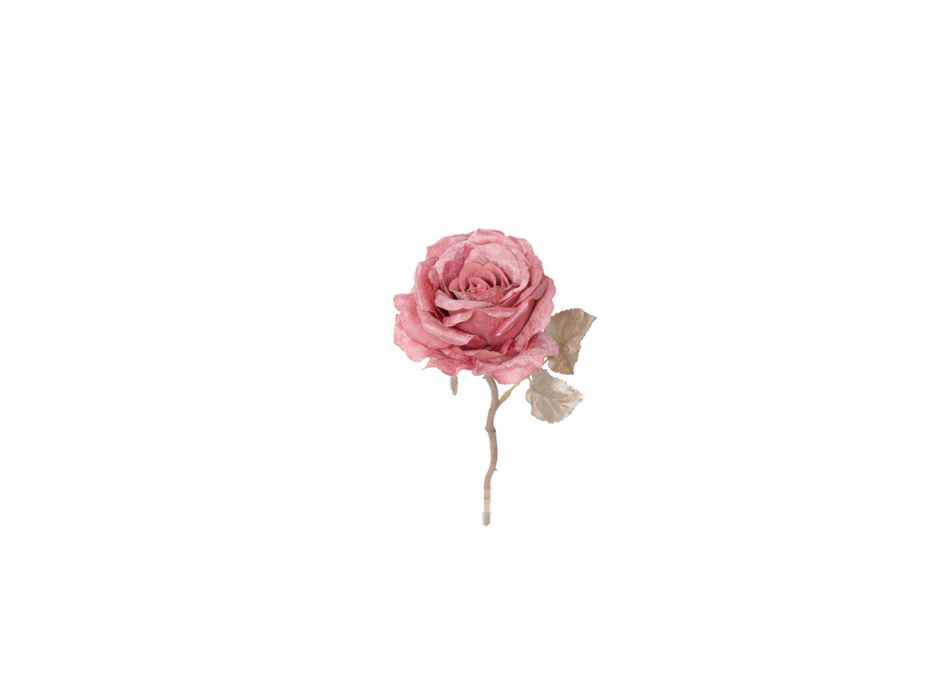 Short Stem Rose | 32cm
