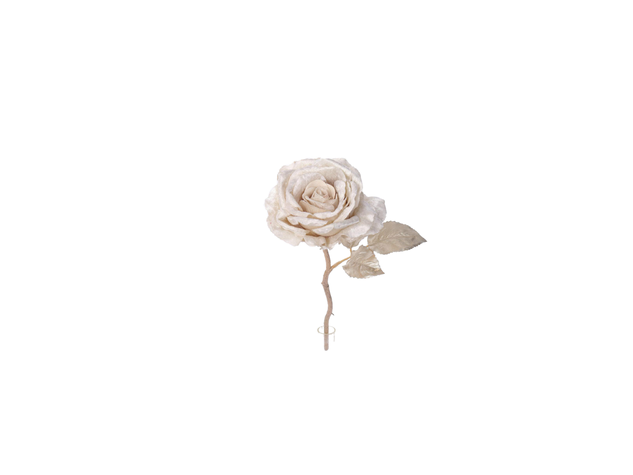 Short Stem Rose | 32cm