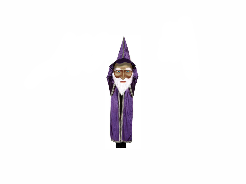 Carnival Wizard with Giant Face Boys Magical Costume