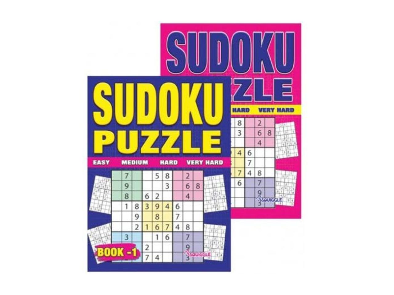 Sudoku Puzzle
