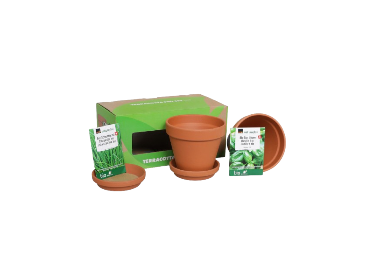 Terracotta Pot Set | 2Pcs
