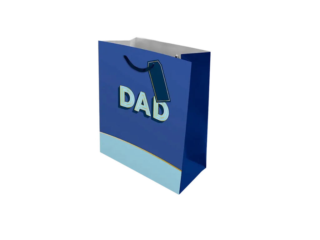 Father's Day Large Gift Bag