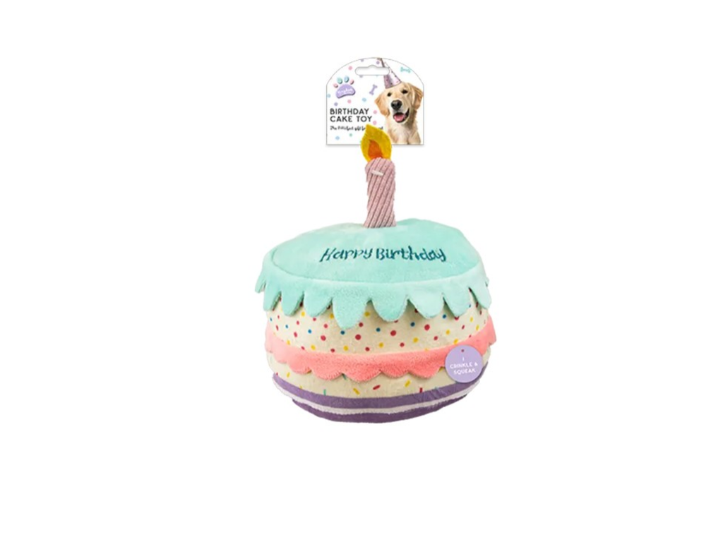 Birthday Cake Pet Toy