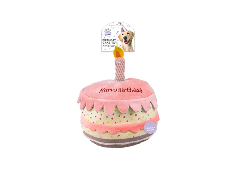 Birthday Cake Pet Toy