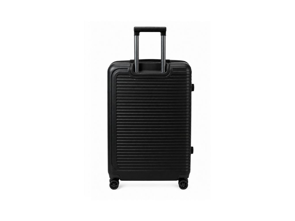 Striped Medium Luggage | 24 INCH