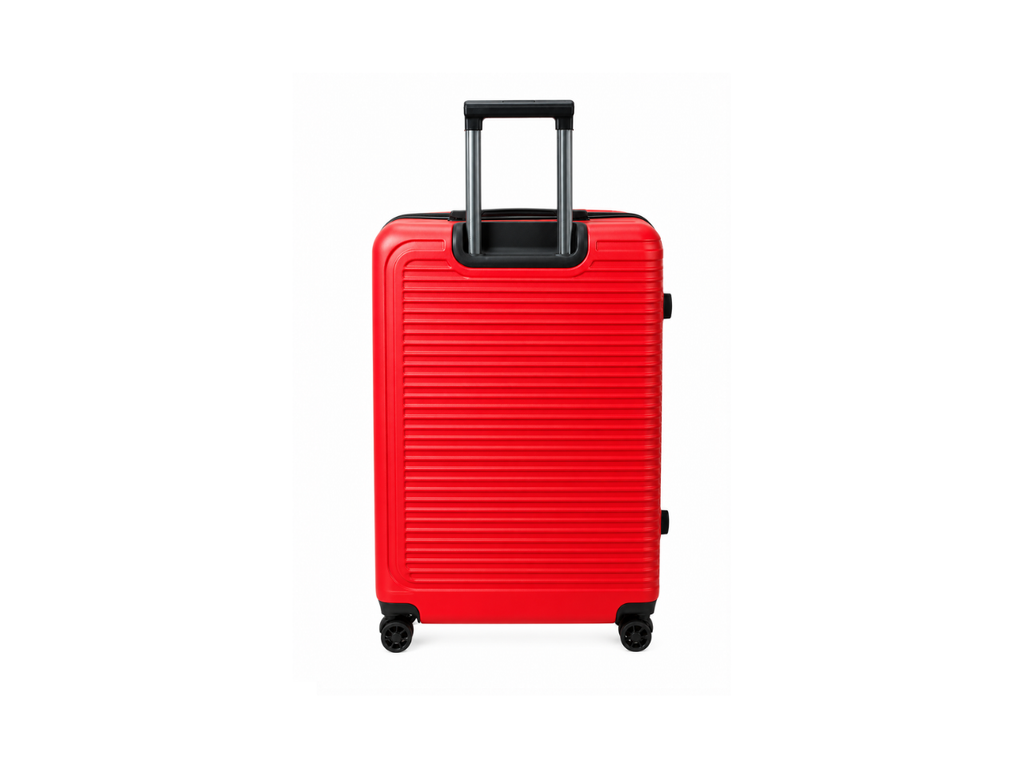 Striped Medium Luggage | 24 INCH