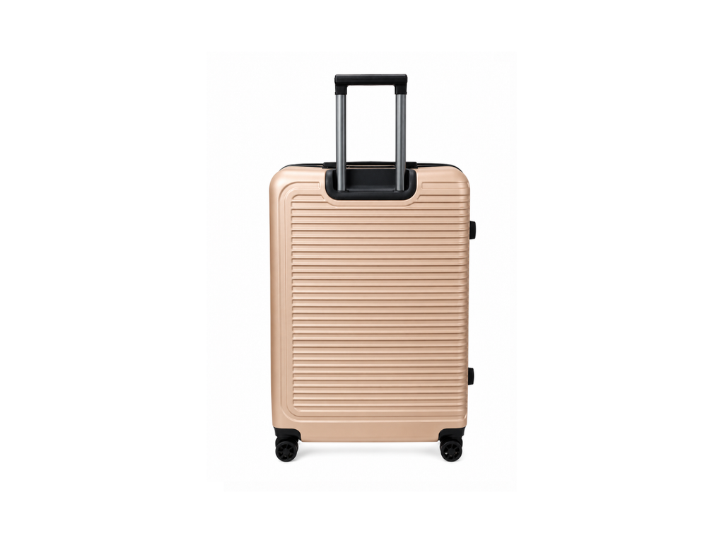 Striped Medium Luggage | 24 INCH