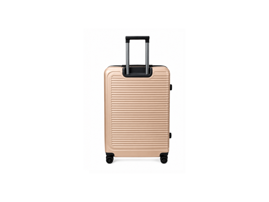 Striped Small Luggage | 20 INCH