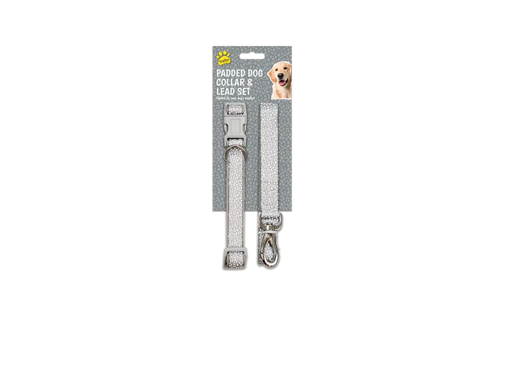 Nylon Collar and Lead Set