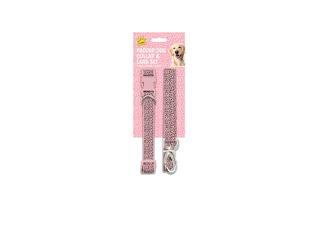 Nylon Collar and Lead Set