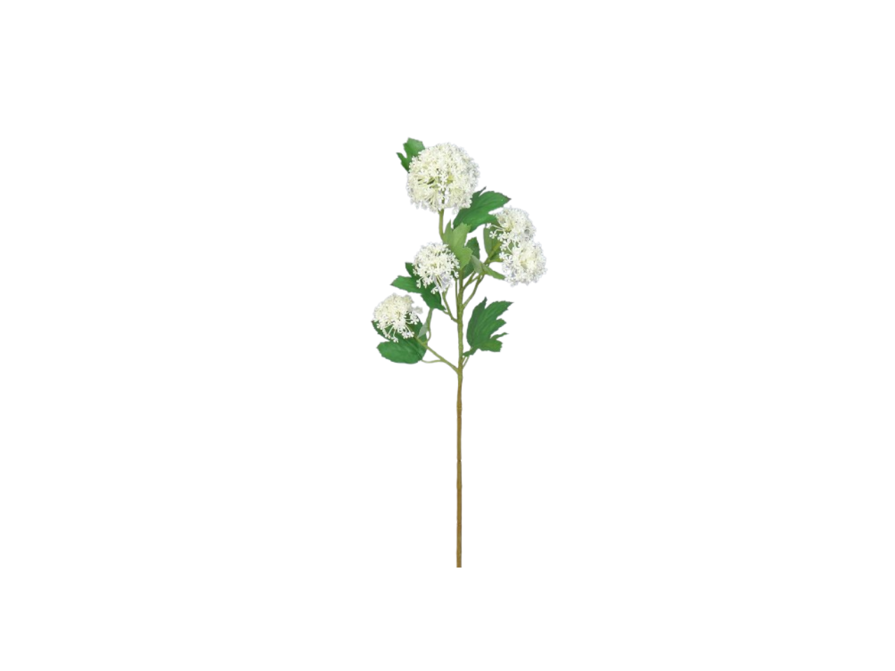 Snowball Spray x5 | 67CM
