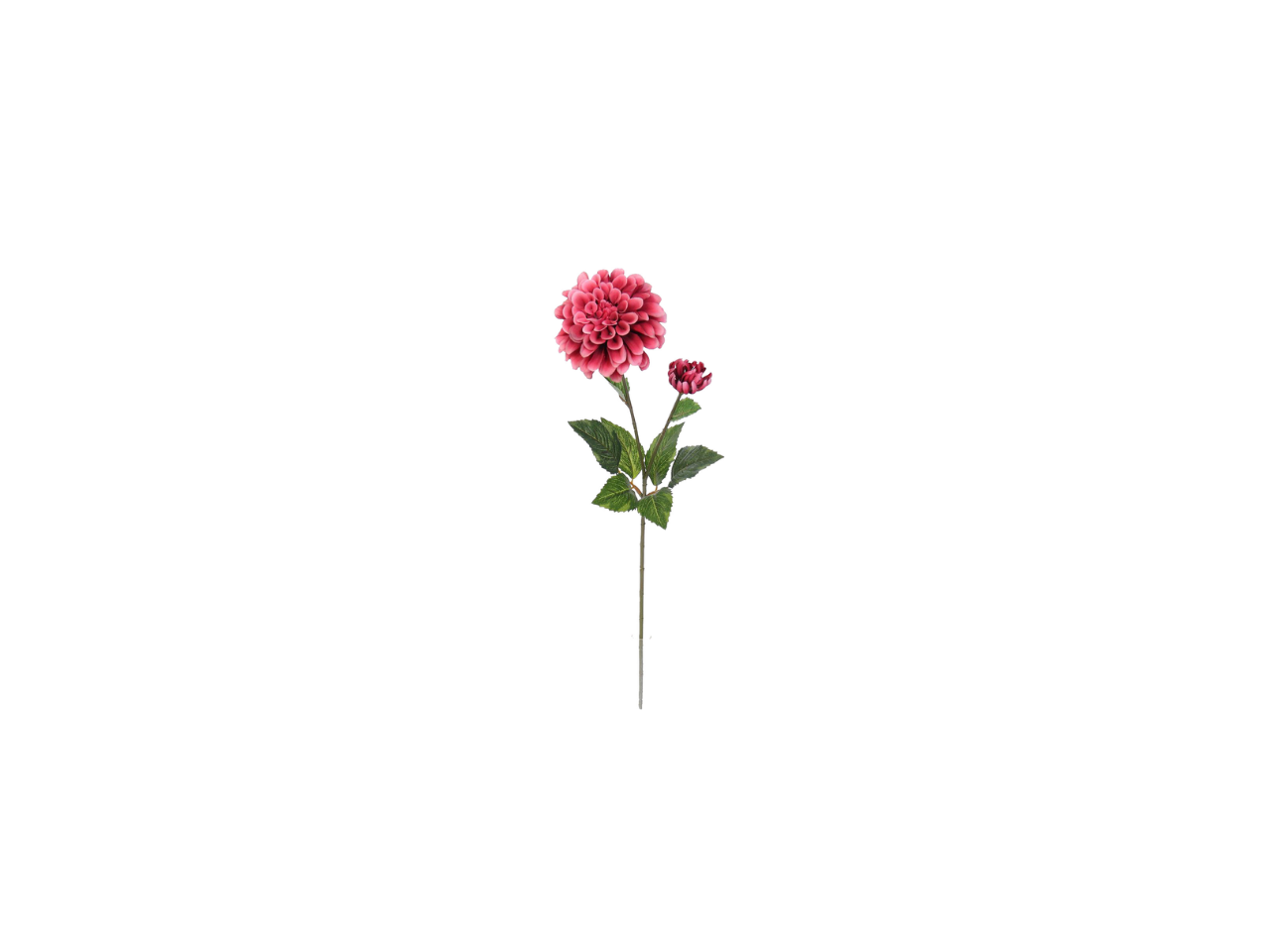 Dhalia Spray | 65cm