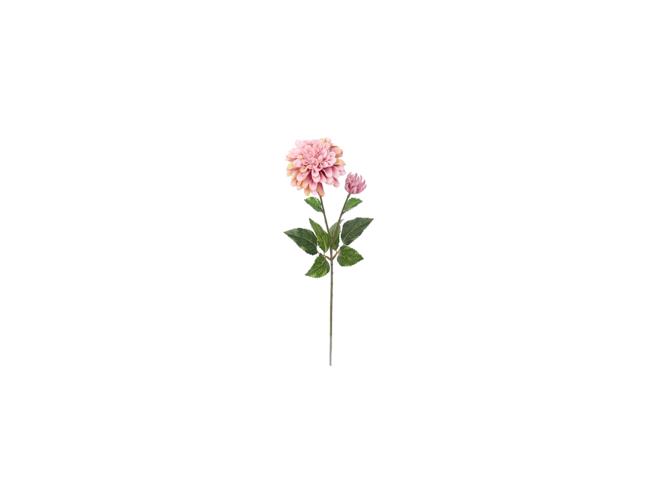 Dhalia Spray | 65cm