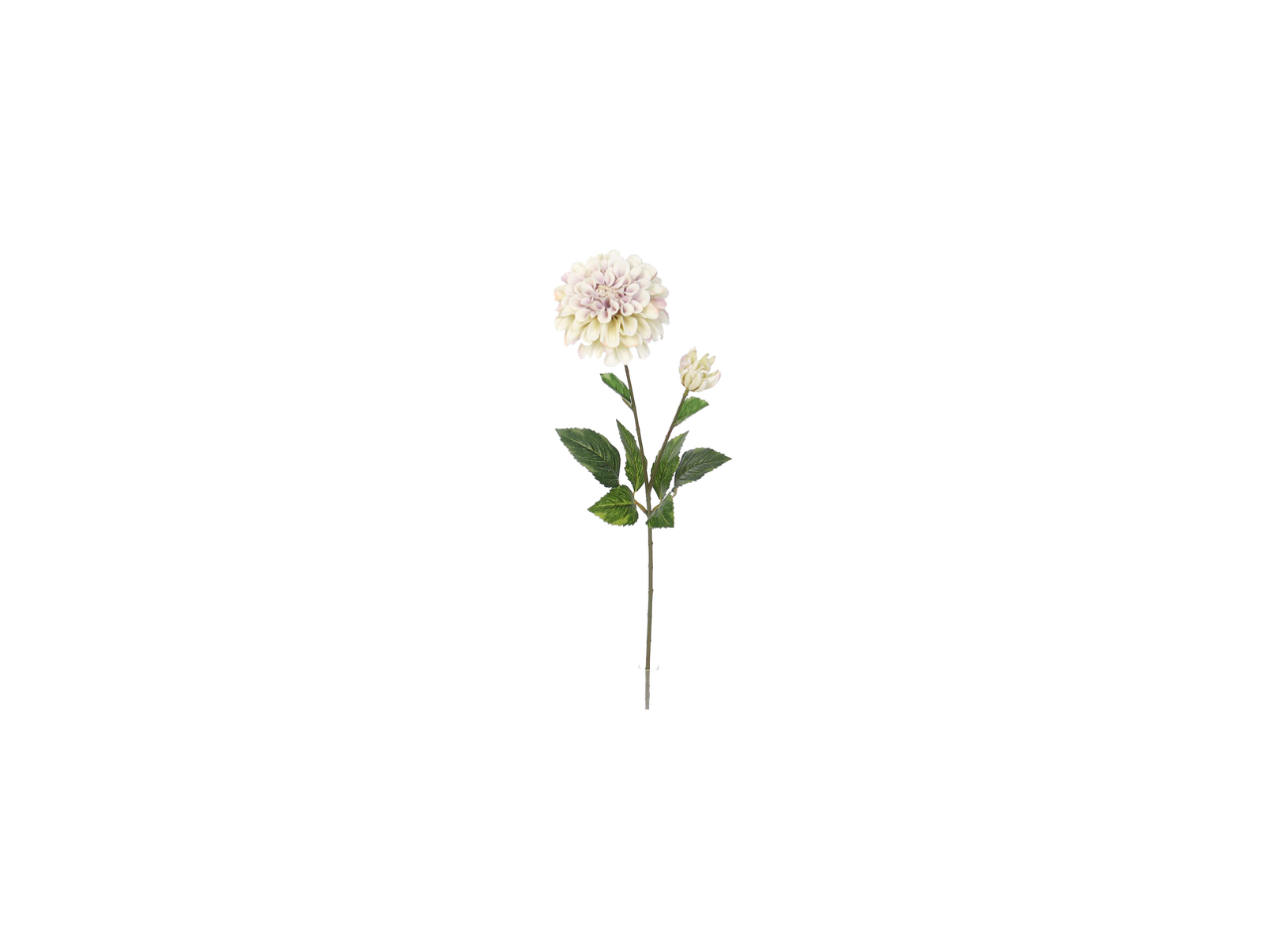 Dhalia Spray | 65cm