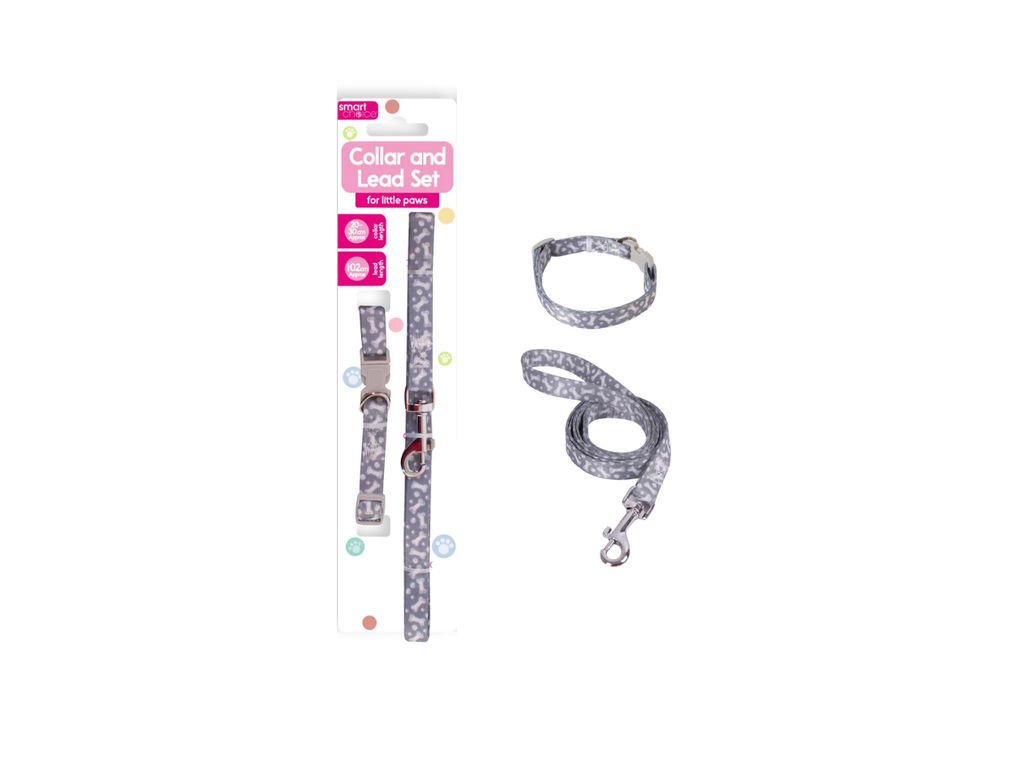 Collar & Lead Set