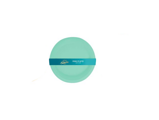 Picnic Plates | 4 Pcs