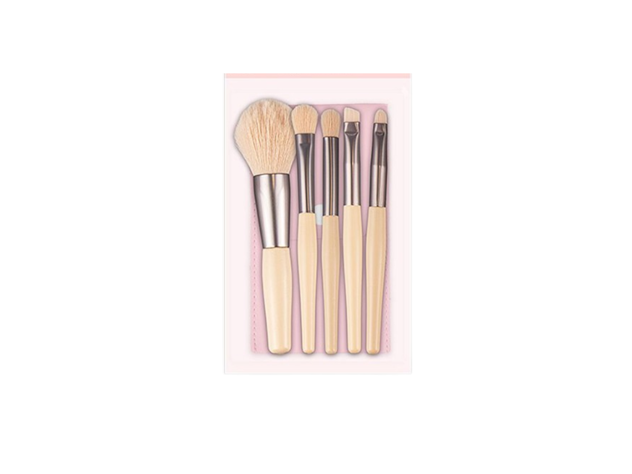 Mini Make Up Brush | Set of 5