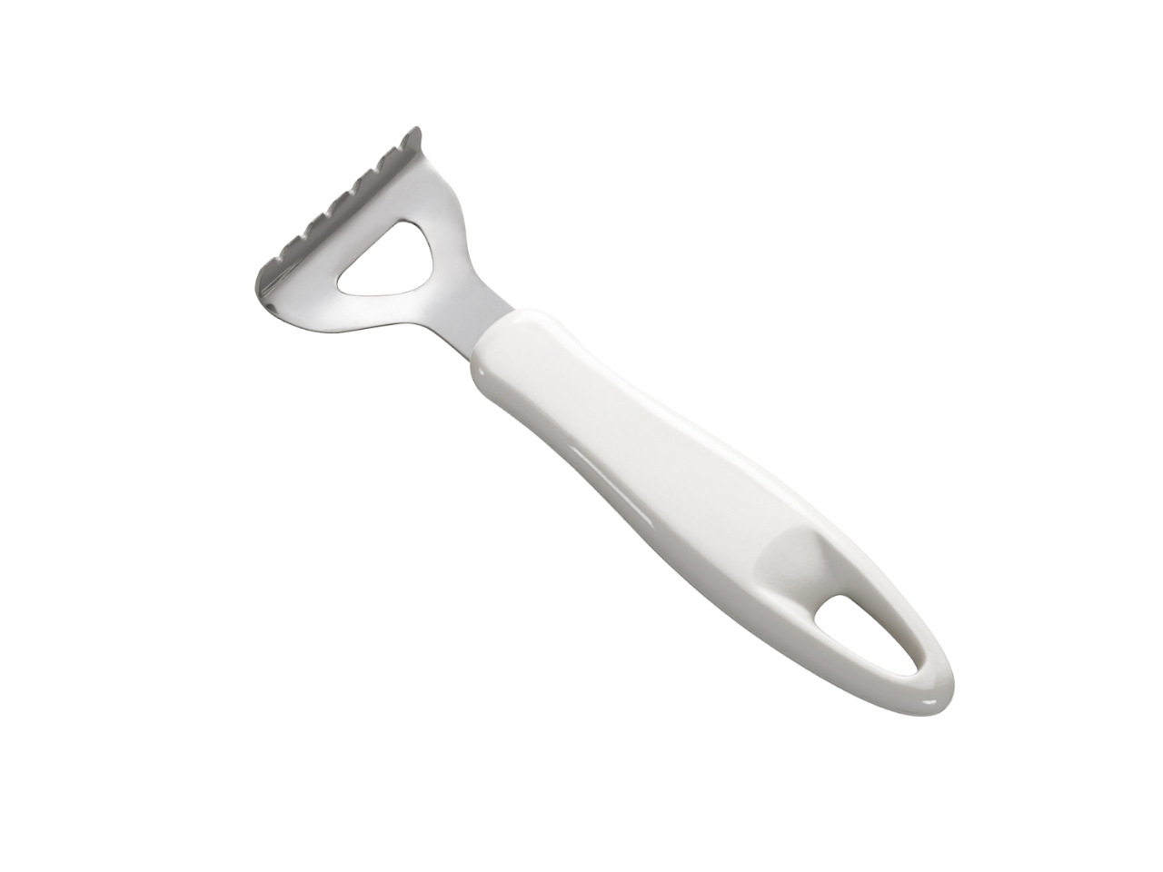 Tescoma | Fish Scraper