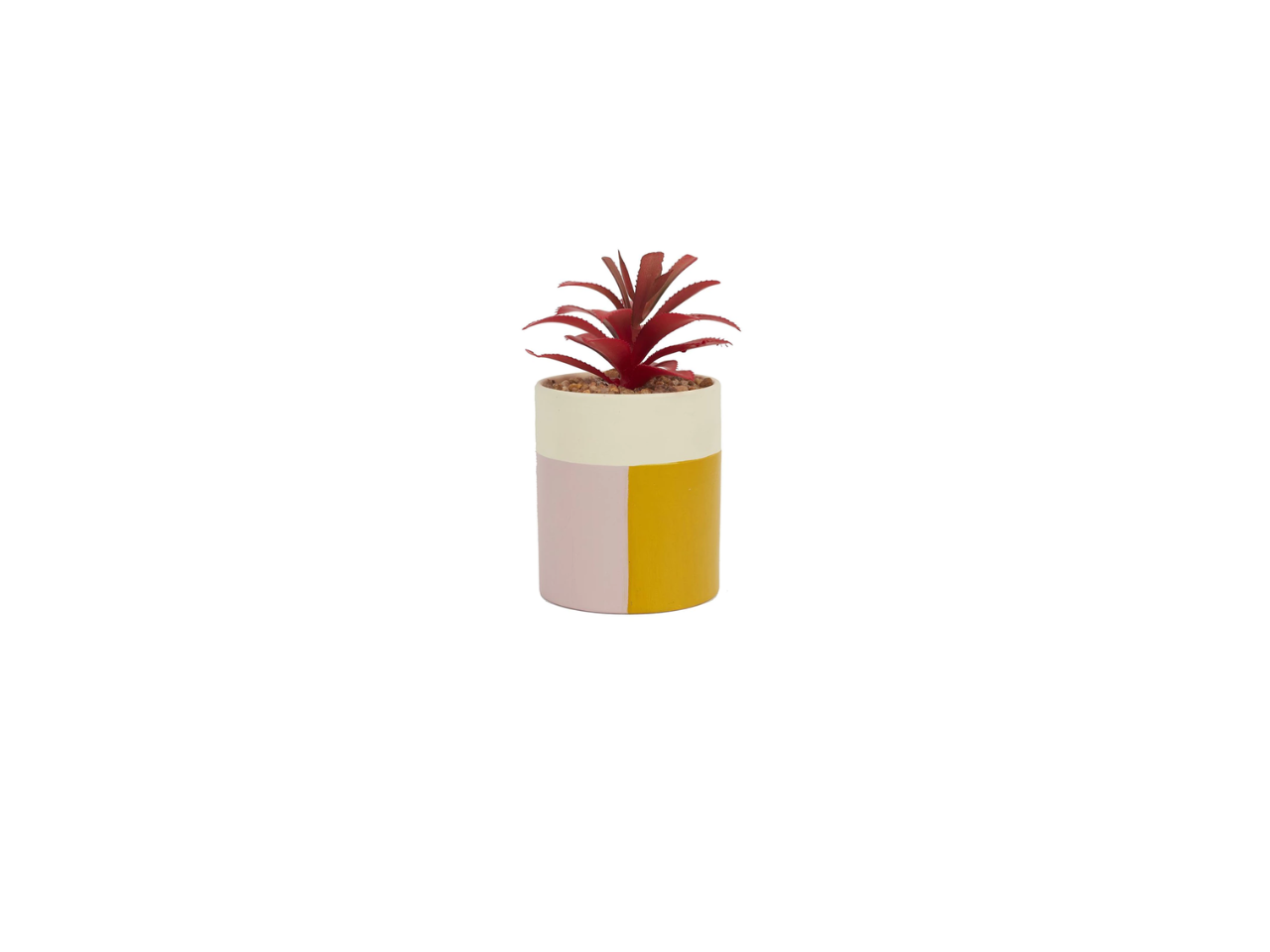 Artificial Plant | Color Block