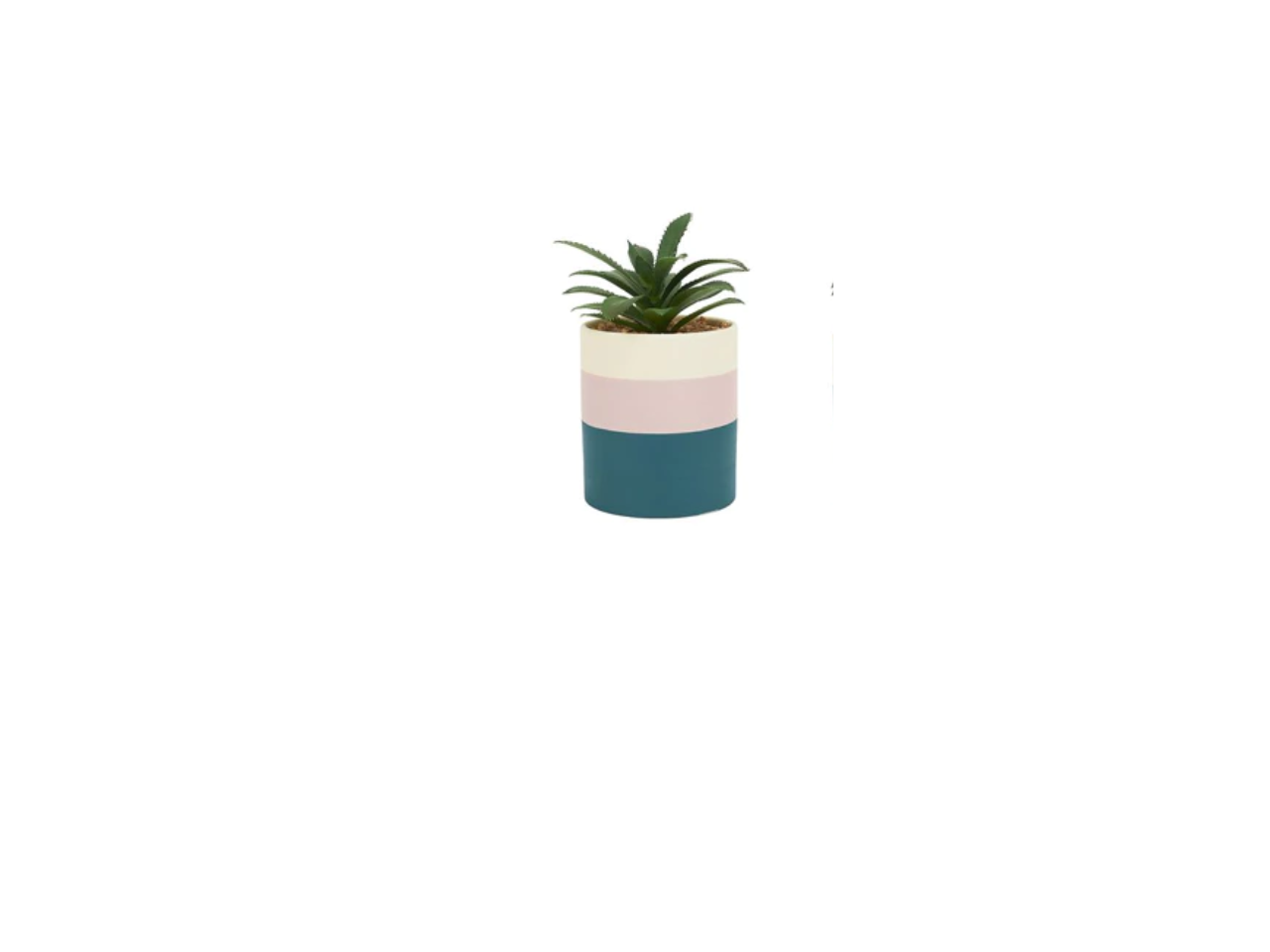 Artificial Plant | Color Block