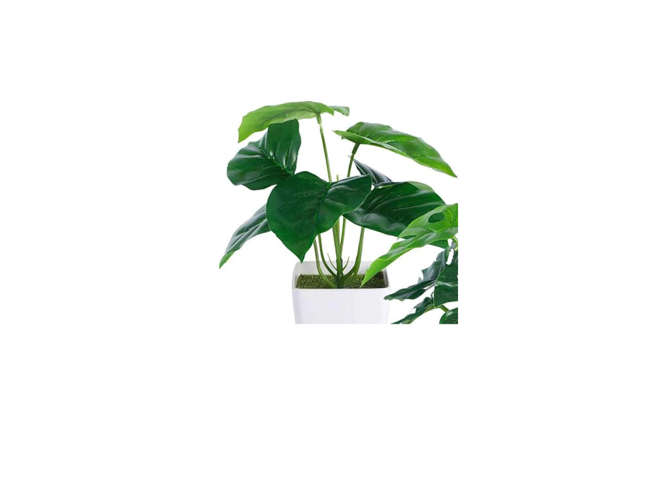 Artificial plant | Monstera