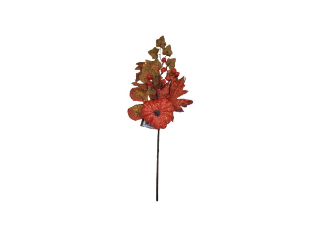 Autumn Picks