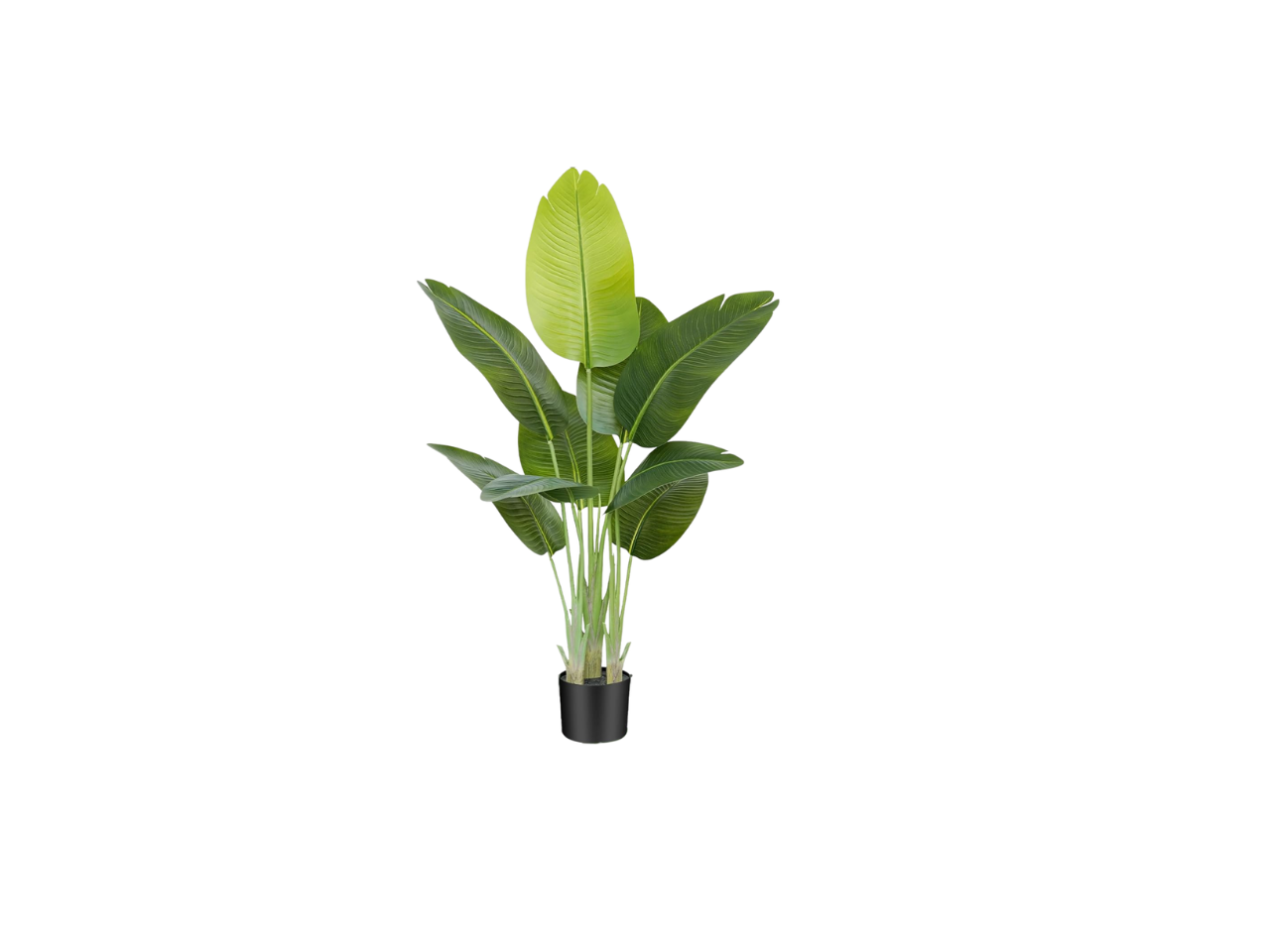 Artificial Plant | 70CM