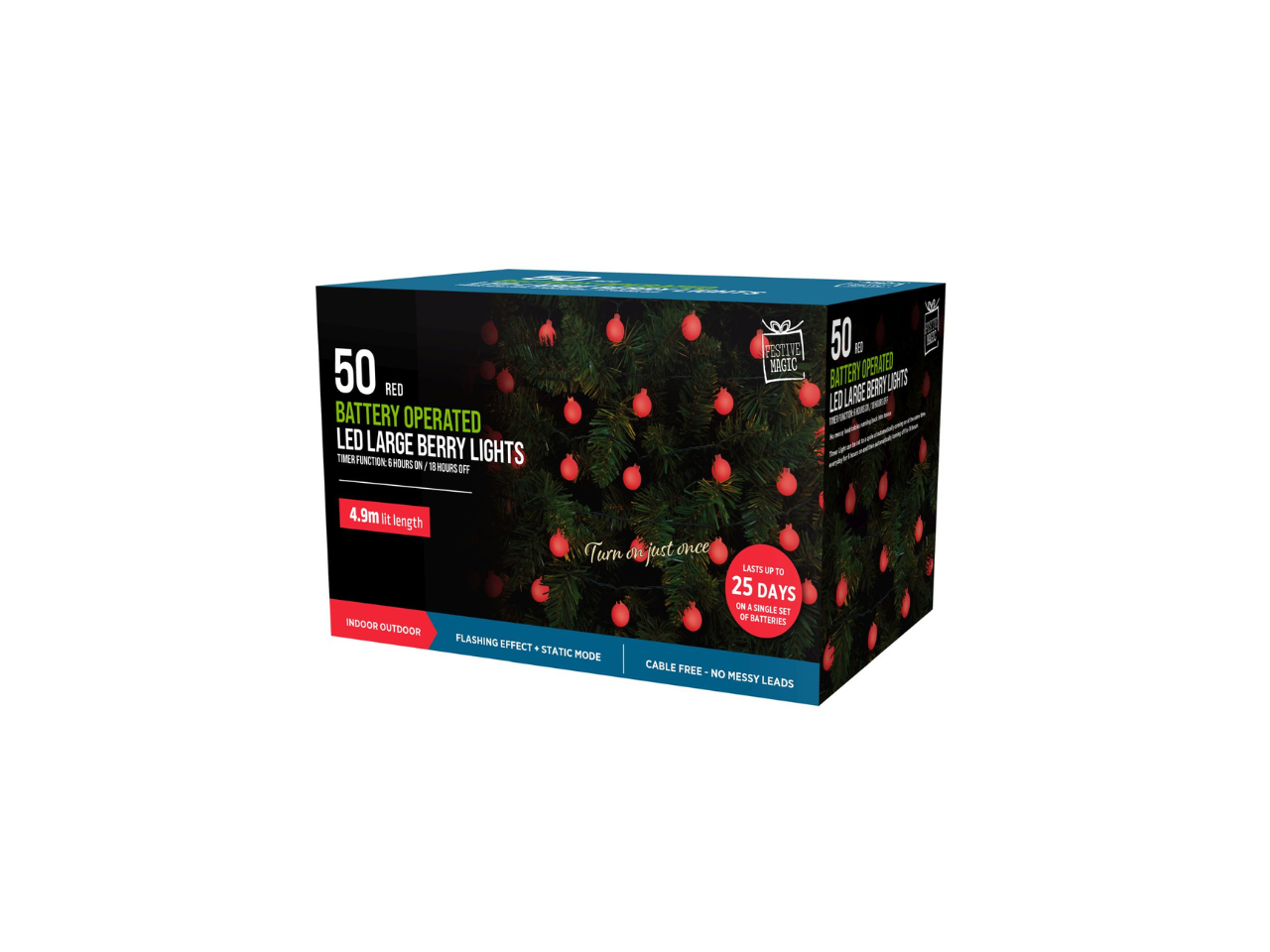 50 LED Large Barry Lights Timer | 4.9M