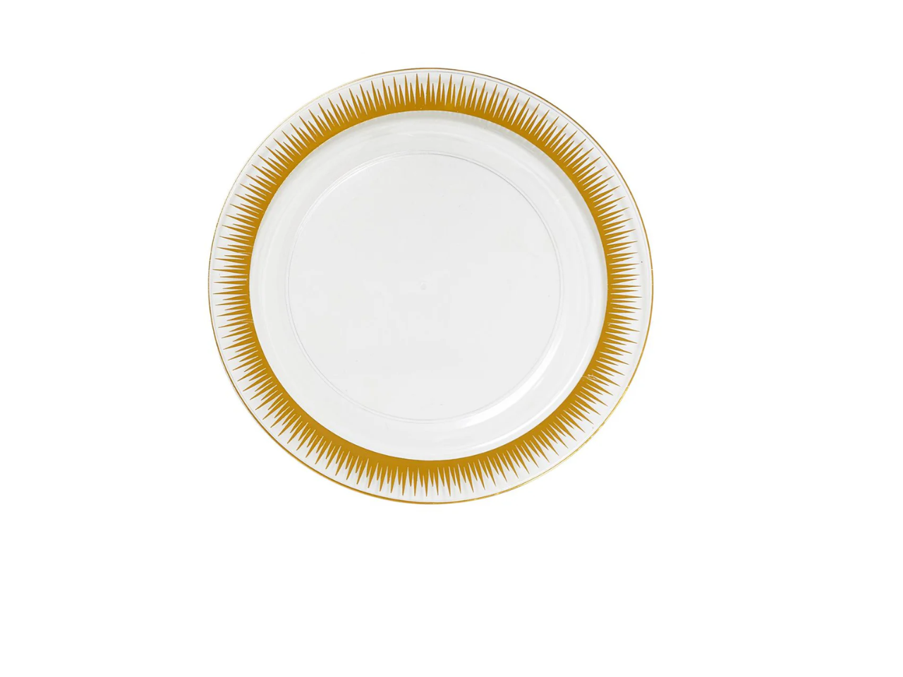 Plastic Reuseable Plates | Pack of  6