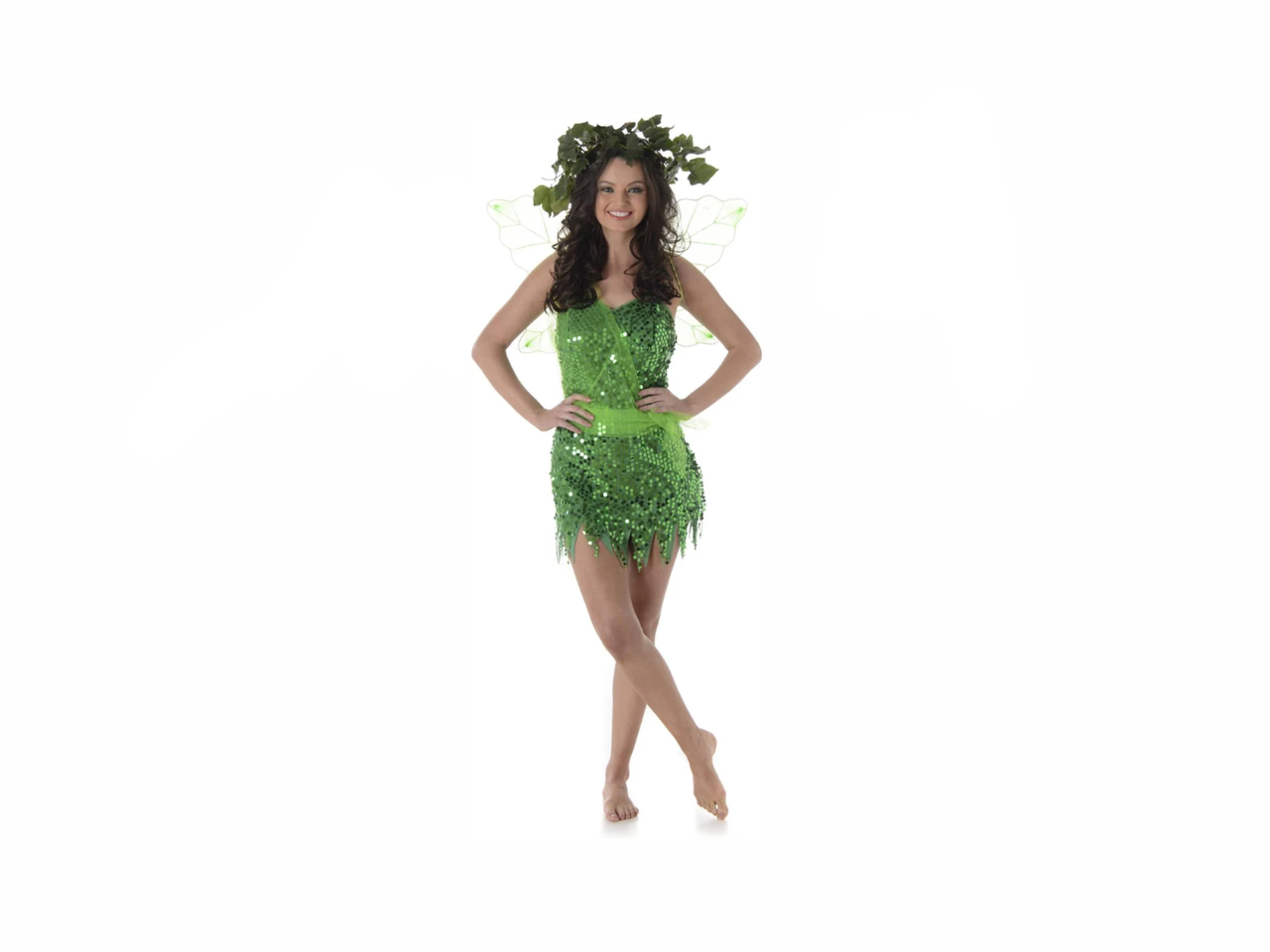 Carnival Fairy Costume  | Size Large