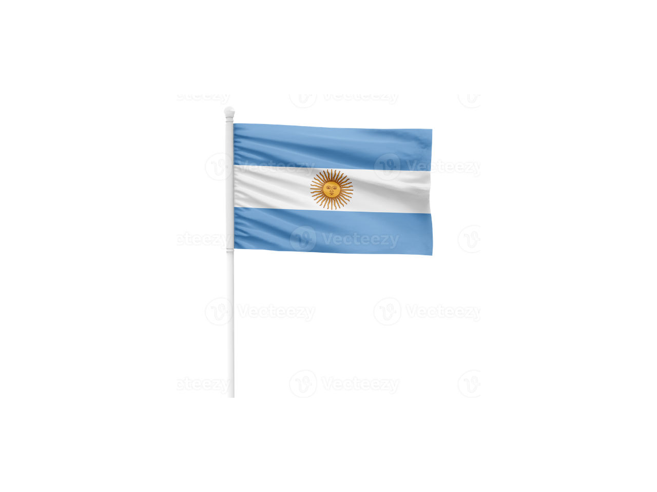 Argentina Flag | 60X90CM