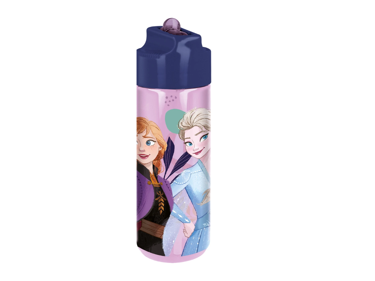 Frozen Straw Bottle | 540ML