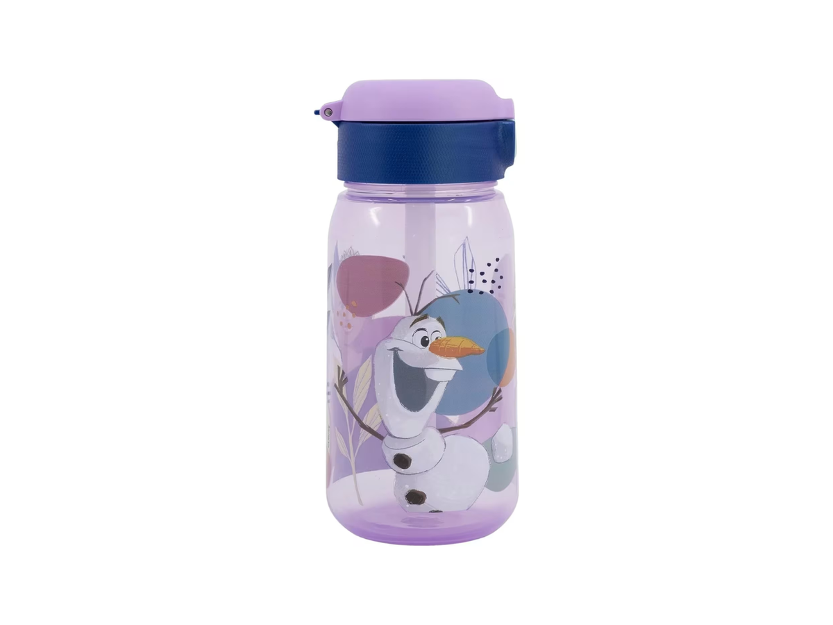 Frozen Straw Bottle | 510ML