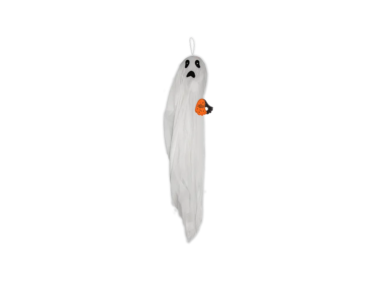 Spooky Moving Ghost Light | 1.1M