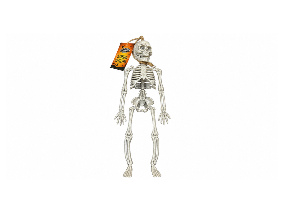 Plastic Grey Hanging Skeleton | 28cm