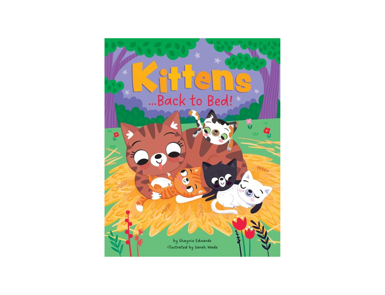 Picture Book Go Back To Bed Kittens