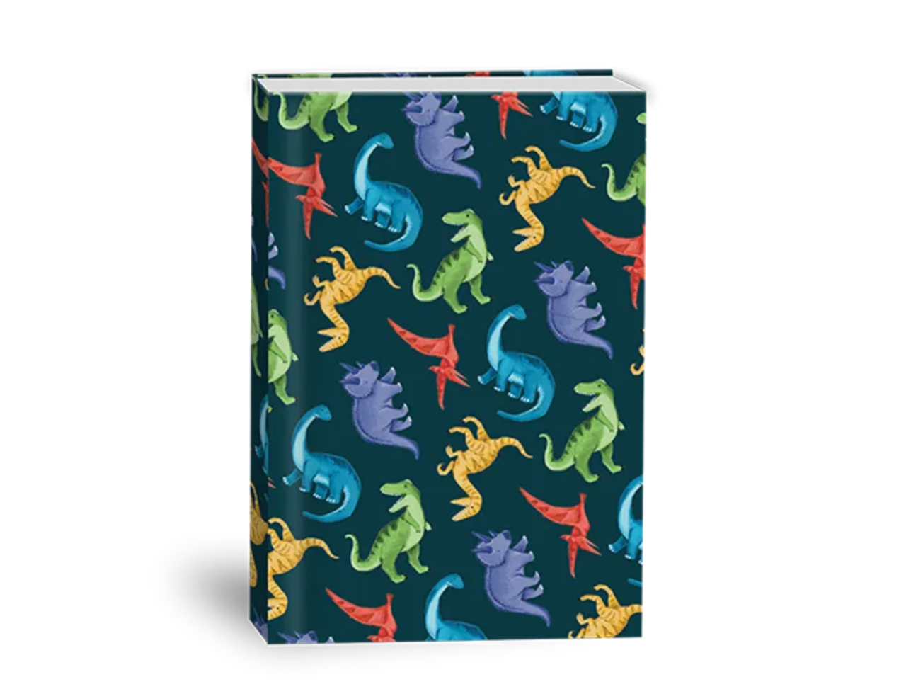 School Notebooks