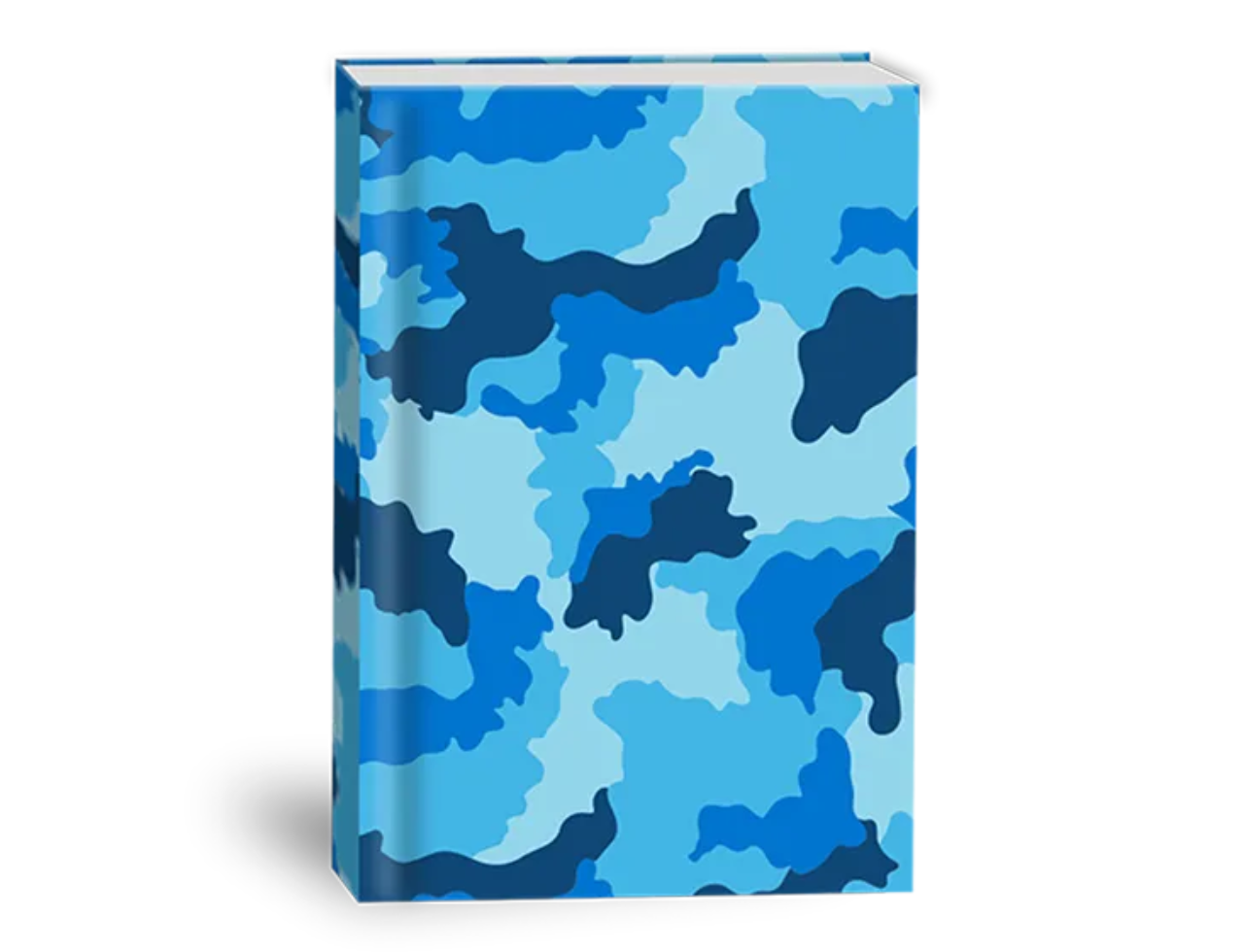 School Notebooks