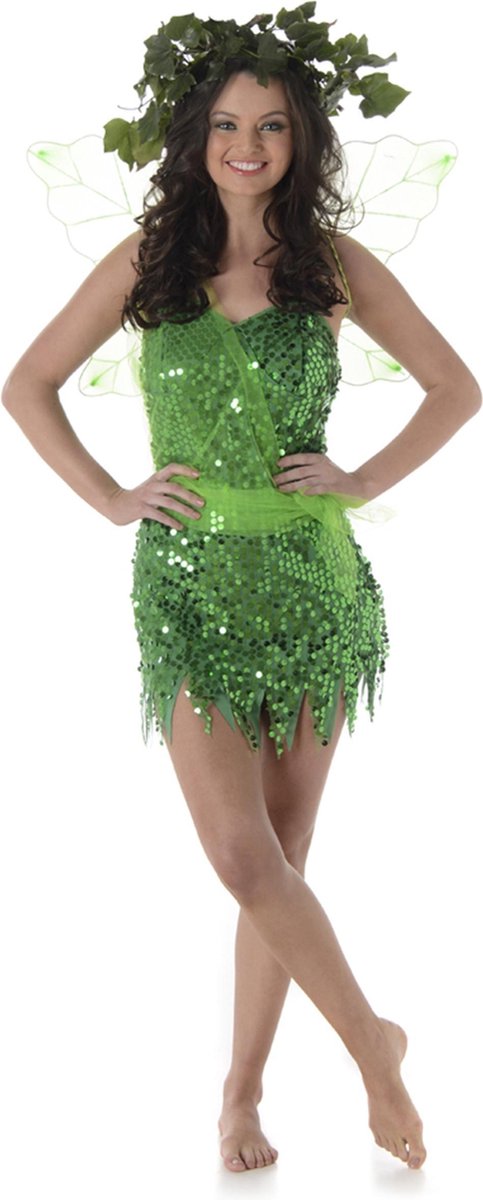 Fairy Costume  | Size Large