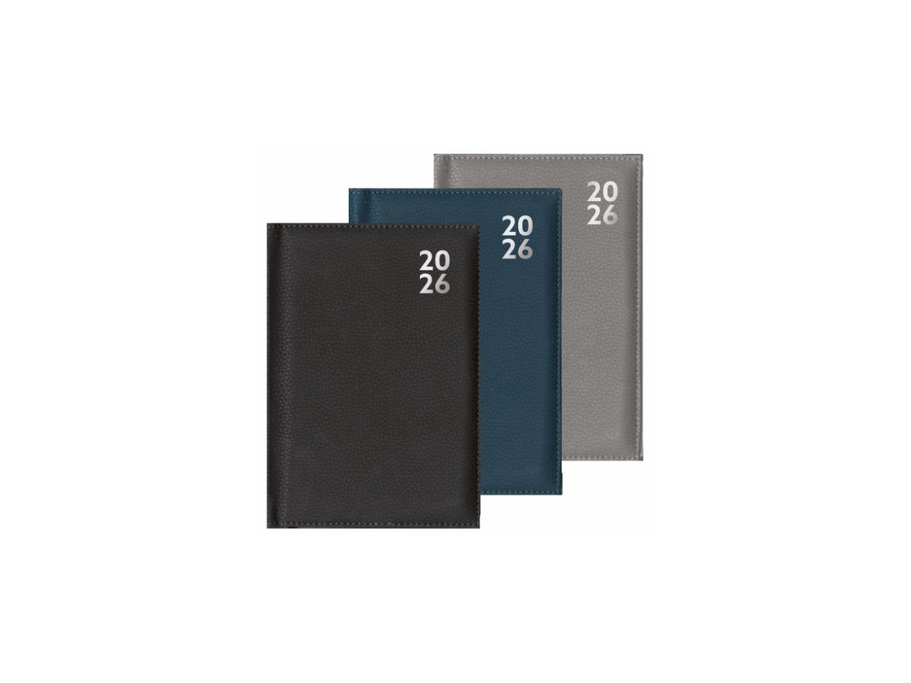 A4 Diary Page To View 2026
