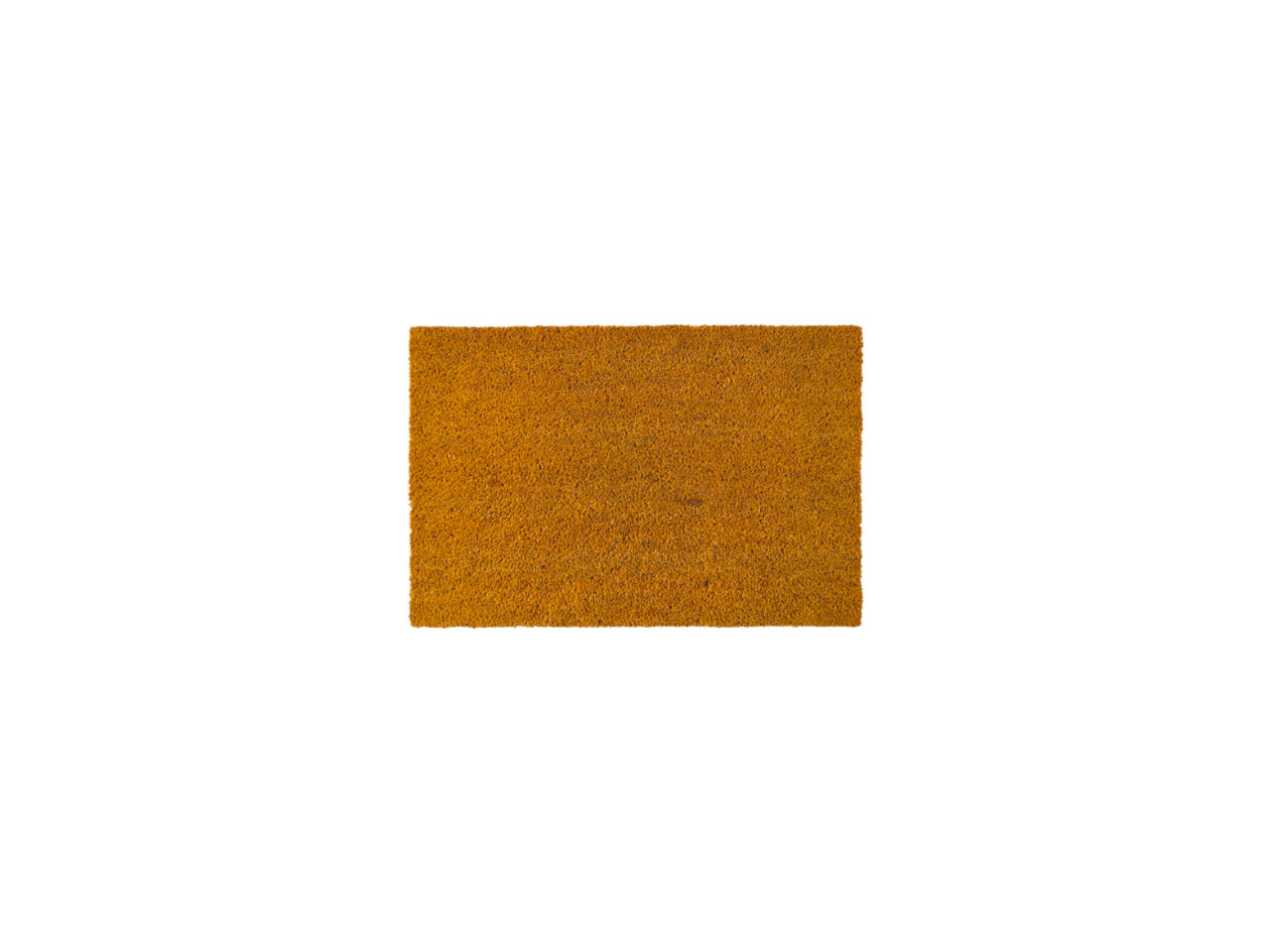 Brush Doormat | 40X60CM