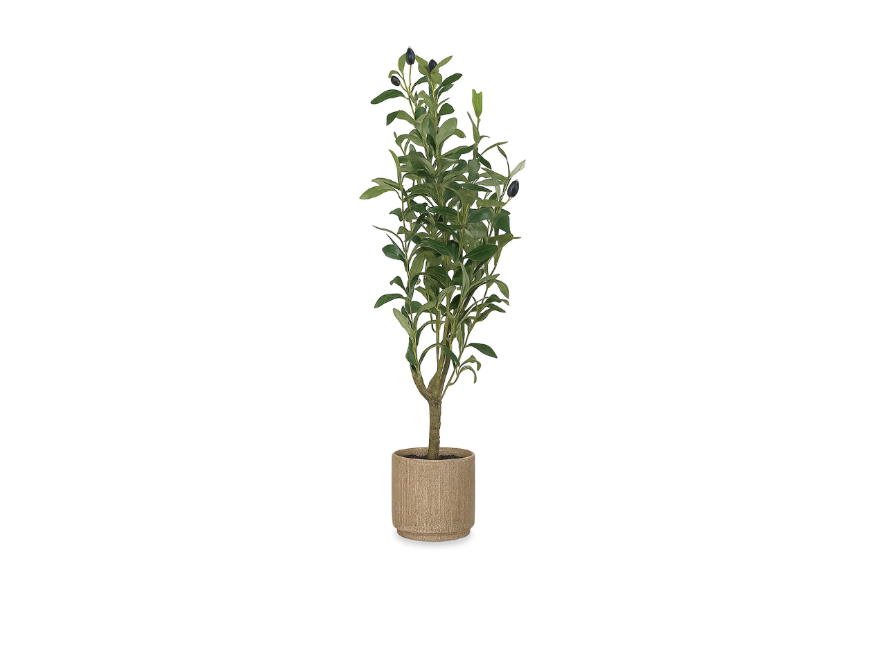 Artificial Small Olive Tree with Ceramic Pot | 70cm