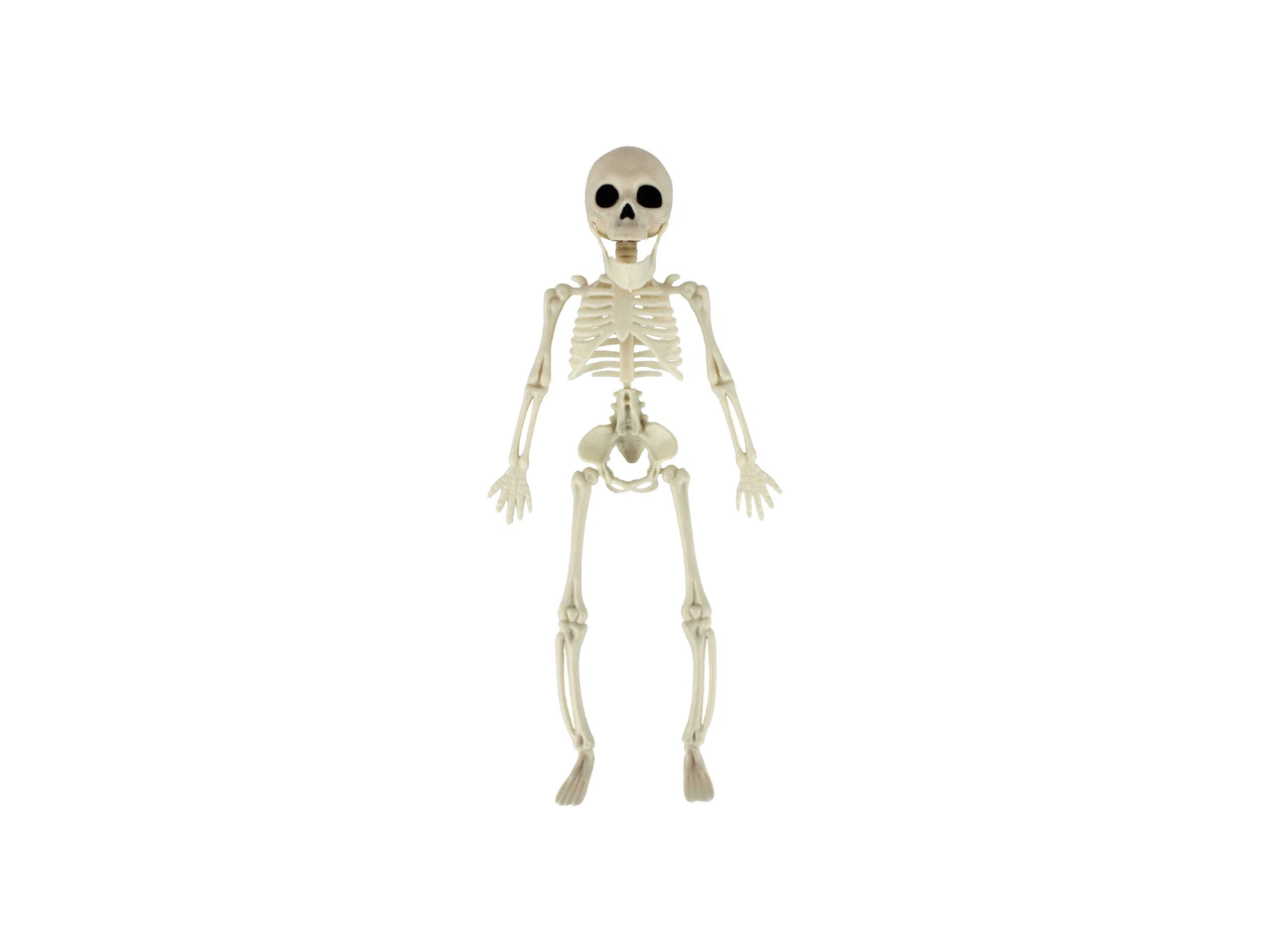 Plastic Beige Hanging Skeleton | 28cm